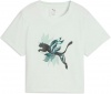 PUMA W GREEN TERRAINS FASHION GRAPHIC TEE